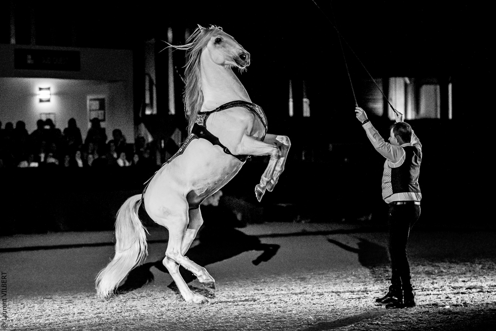 Nuit Iberique 20190207-2476