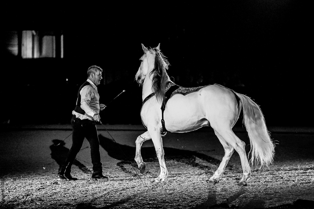 Nuit Iberique 20190207-2482