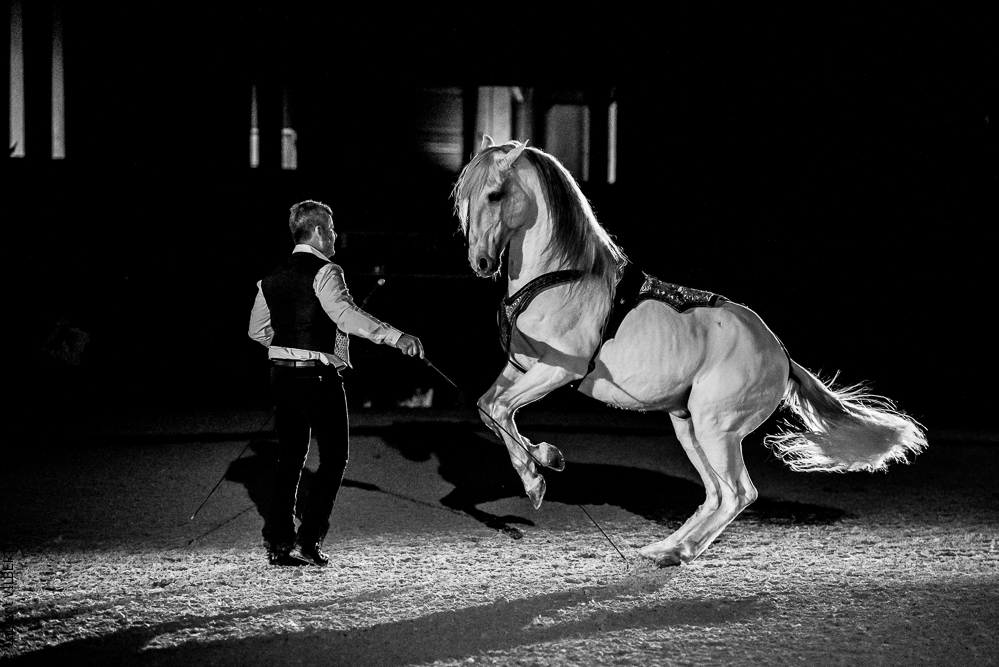 Nuit Iberique 20190207-2483