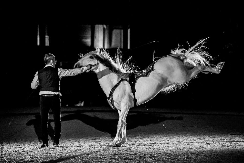 Nuit Iberique 20190207-2488