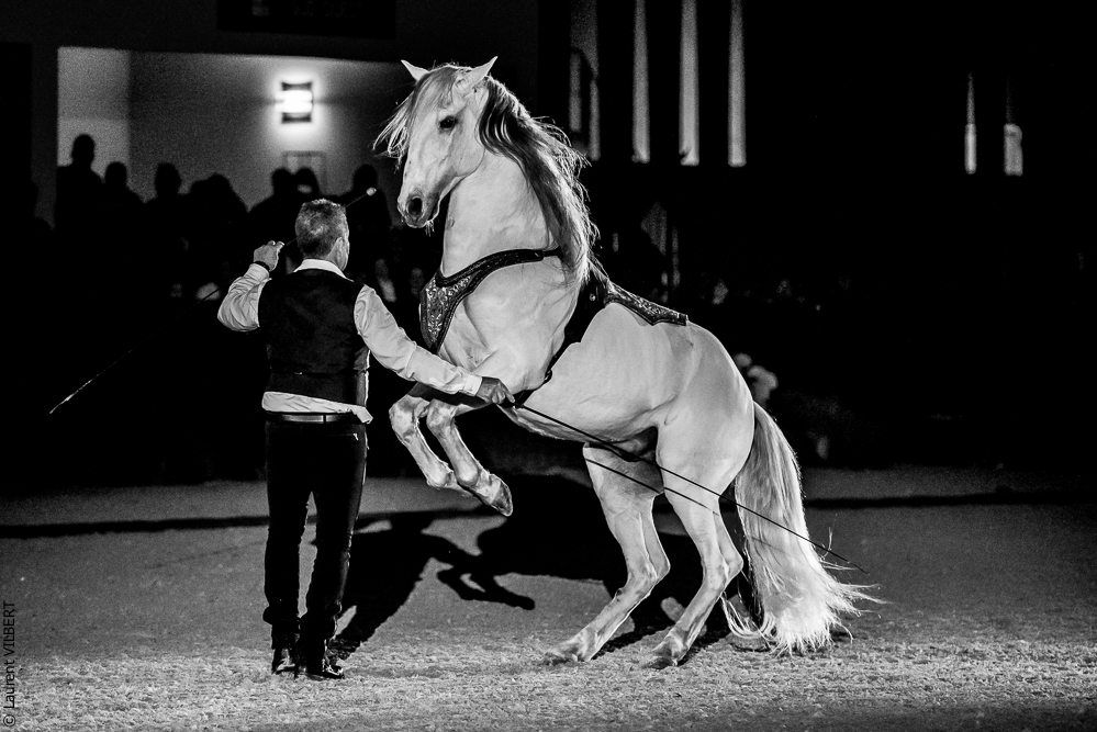 Nuit Iberique 20190207-2498