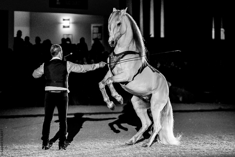 Nuit Iberique 20190207-2500