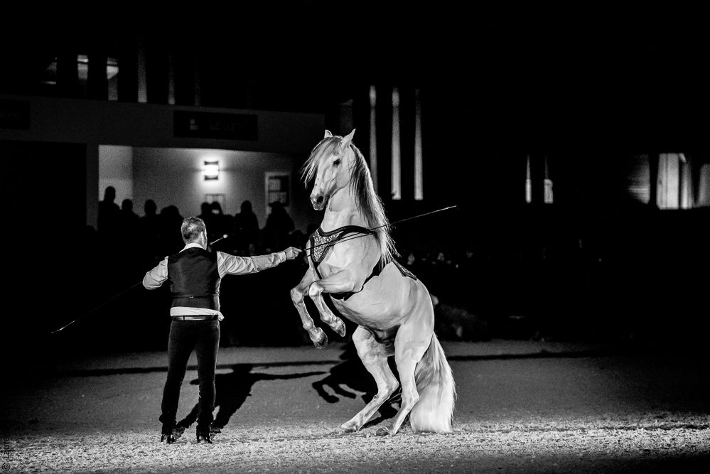 Nuit Iberique 20190207-2501