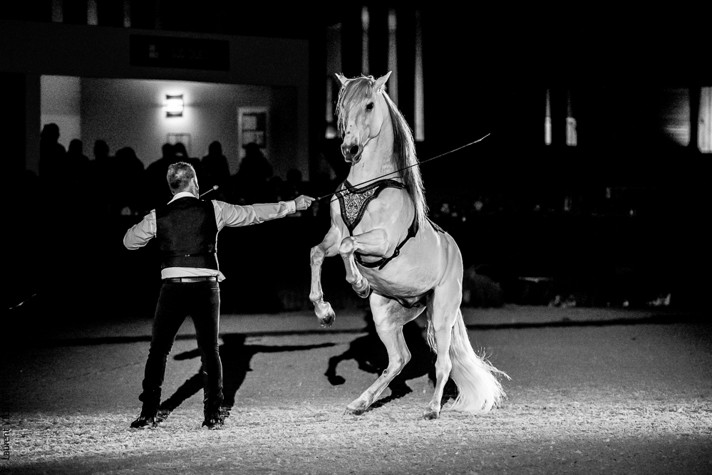 Nuit Iberique 20190207-2505