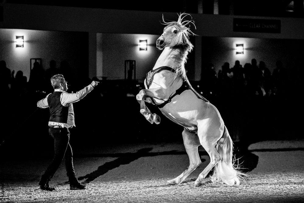 Nuit Iberique 20190207-2521