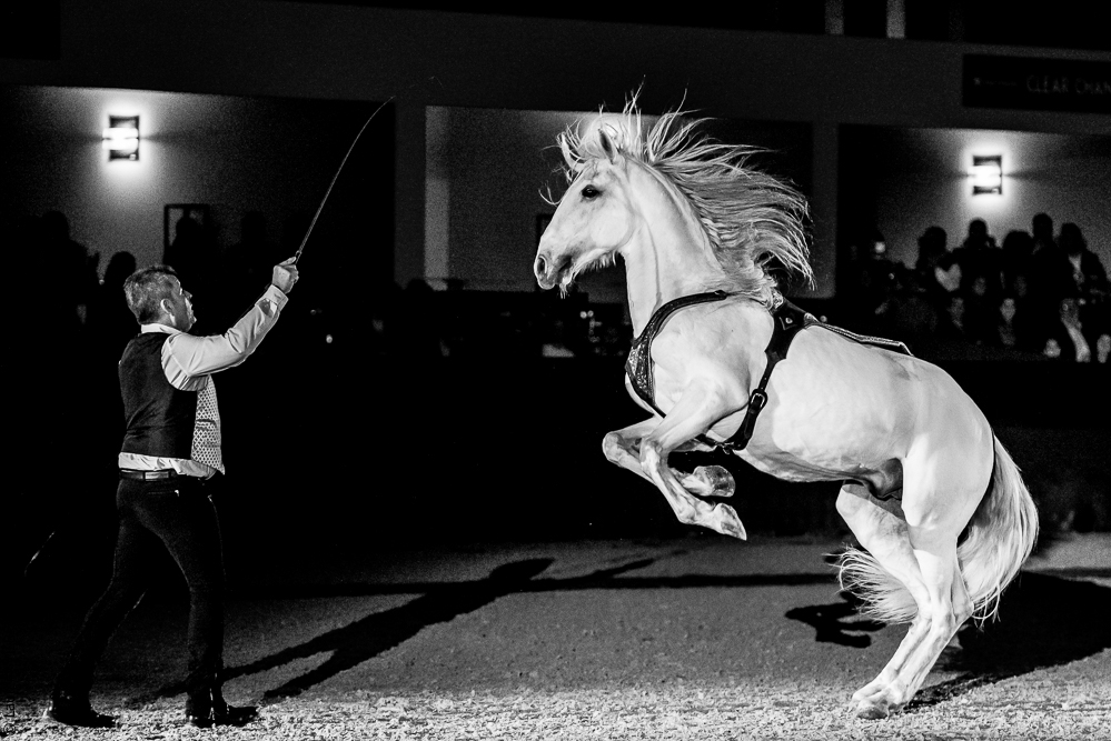 Nuit Iberique 20190207-2523