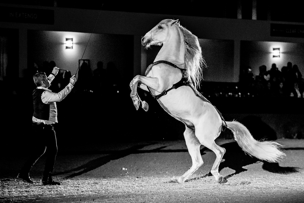 Nuit Iberique 20190207-2525