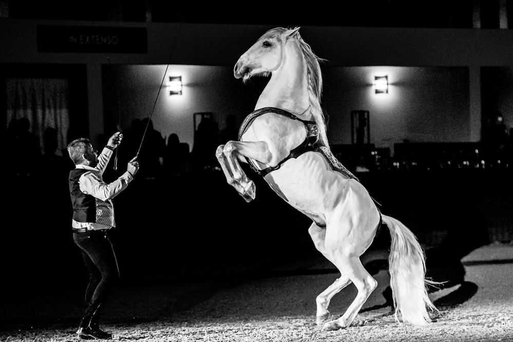 Nuit Iberique 20190207-2527