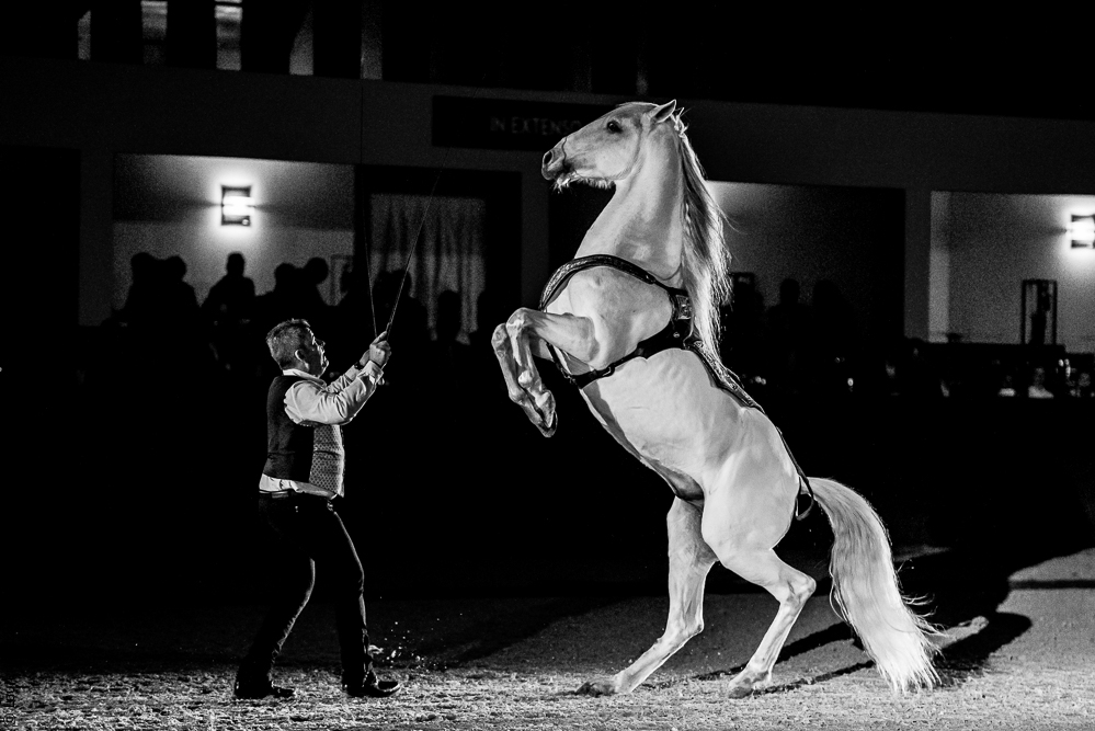 Nuit Iberique 20190207-2530