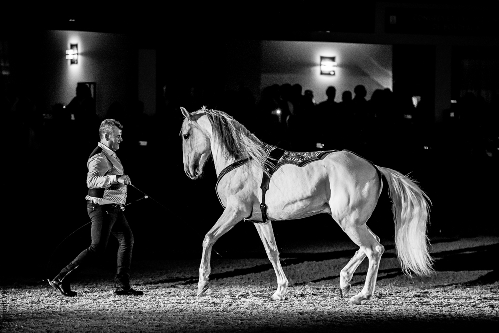 Nuit Iberique 20190207-2534