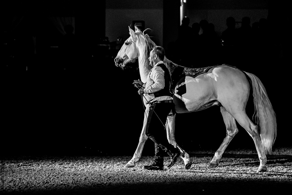 Nuit Iberique 20190207-2542