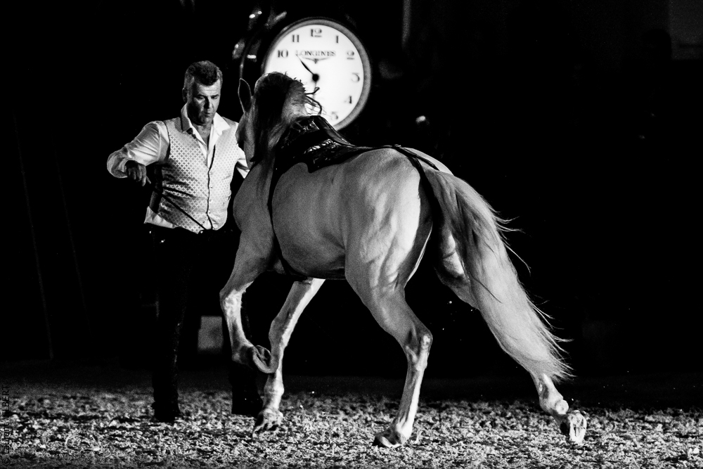 Nuit Iberique 20190207-2549