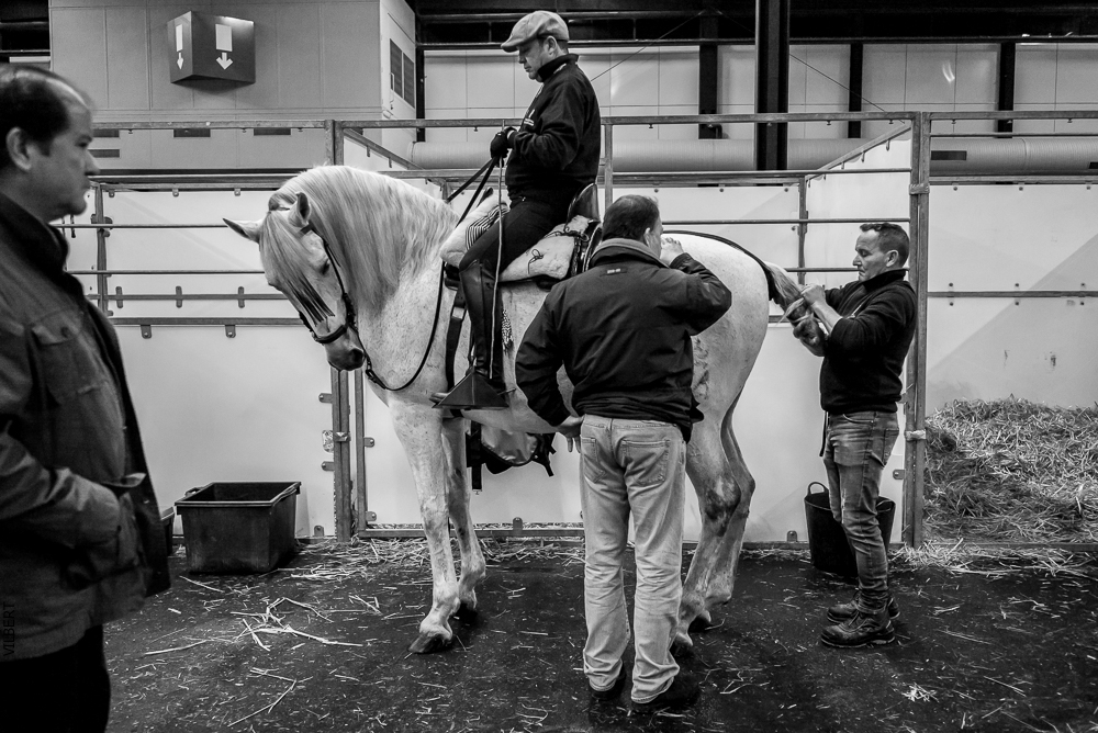 Nuit Iberique 20190206-0020