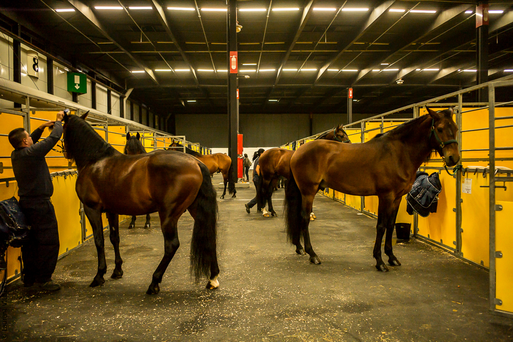 Nuit Iberique 20190206-0021