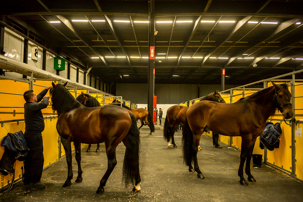 Nuit Iberique 20190206-0022