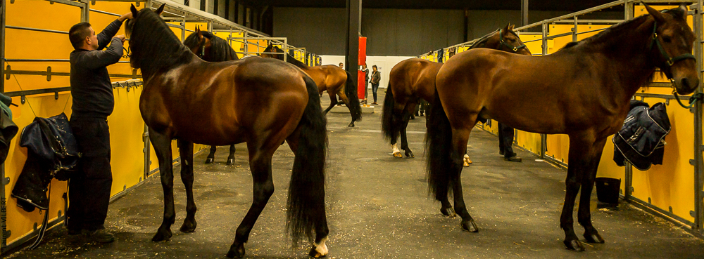 Nuit Iberique 20190206-0022