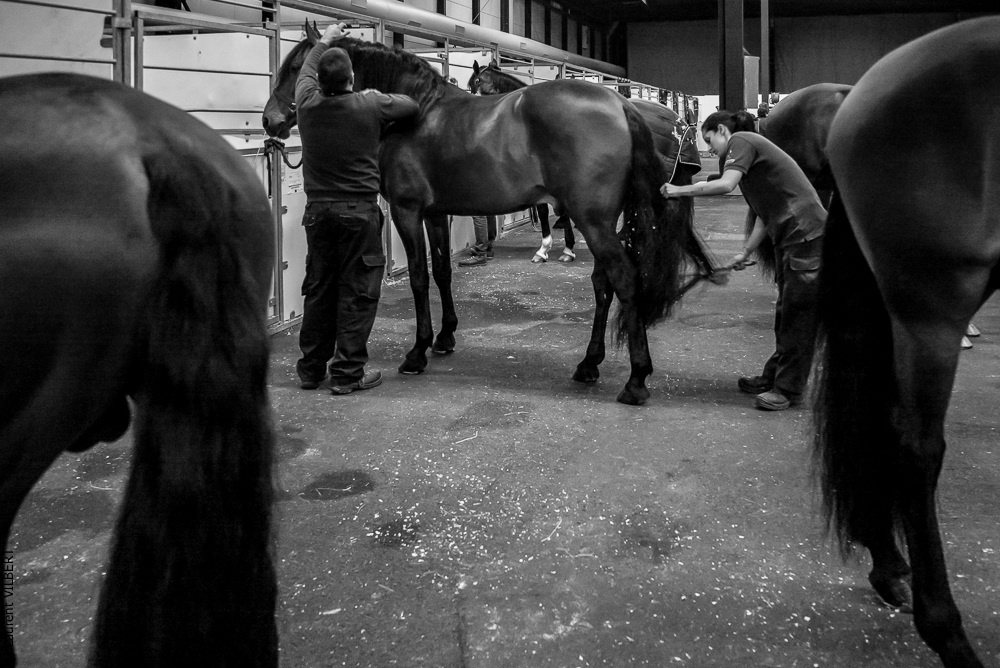 Nuit Iberique 20190206-0023