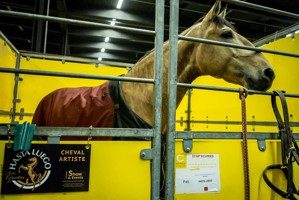 Nuit Iberique 20190206-0028