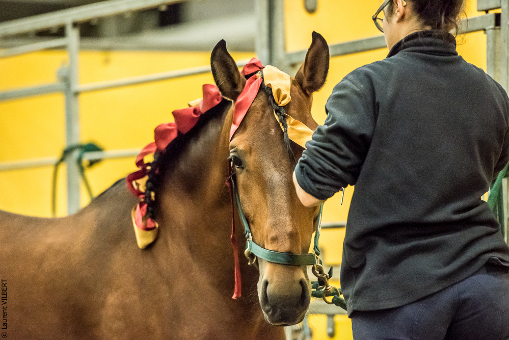 Nuit Iberique 20190207-1539