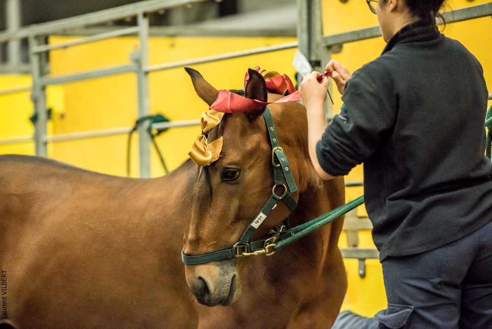 Nuit Iberique 20190207-1542