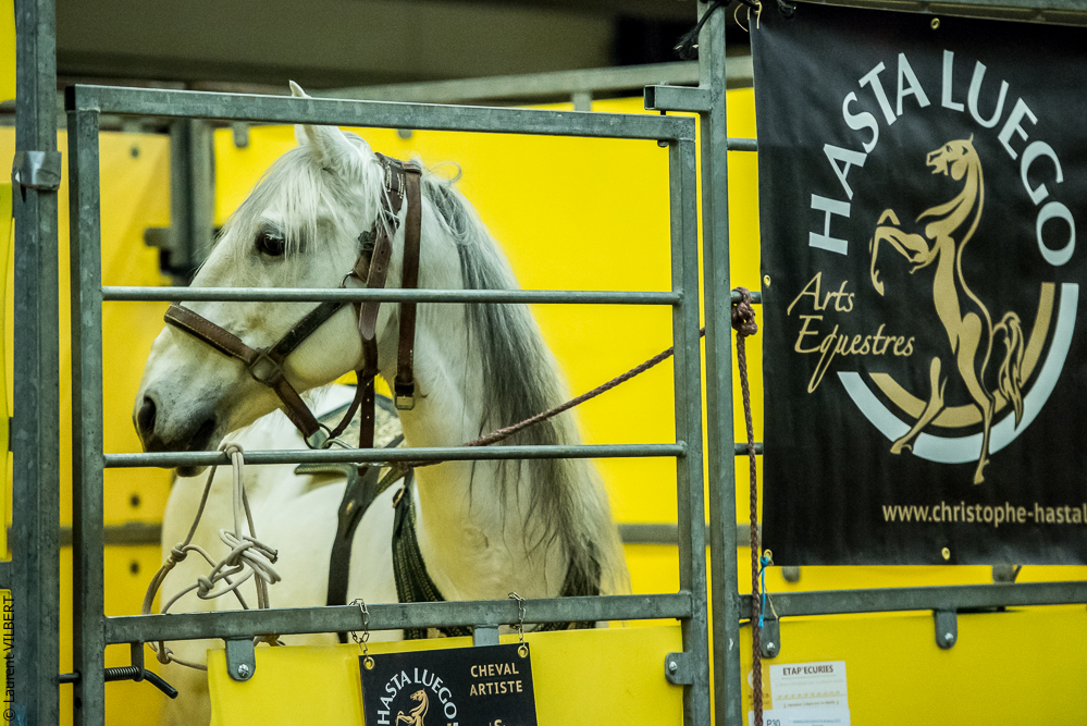 Nuit Iberique 20190207-1547