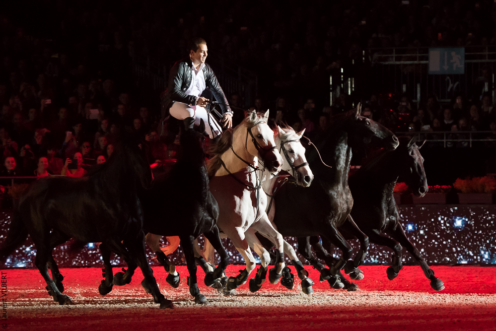 Lorenzo 20171125-0129