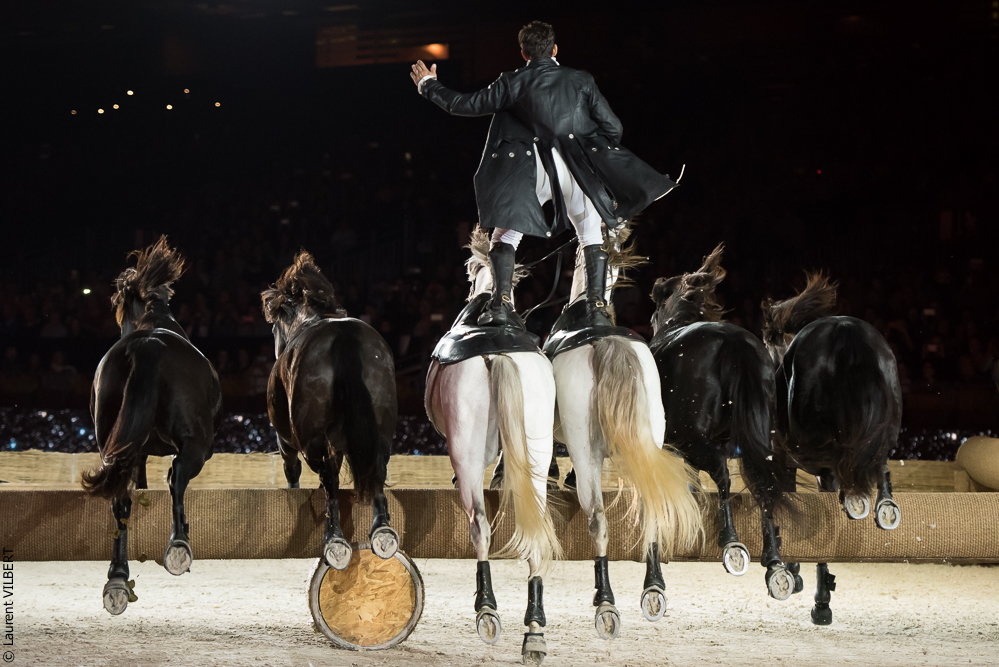 Lorenzo 20171125-0144