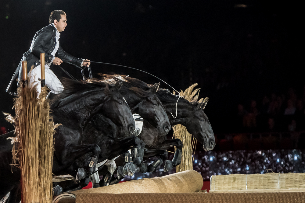 Lorenzo 20171125-0164