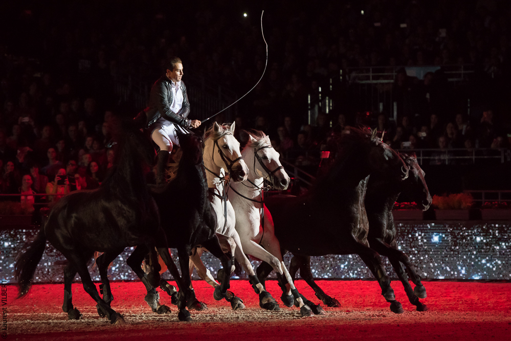 Lorenzo 20171125-0175