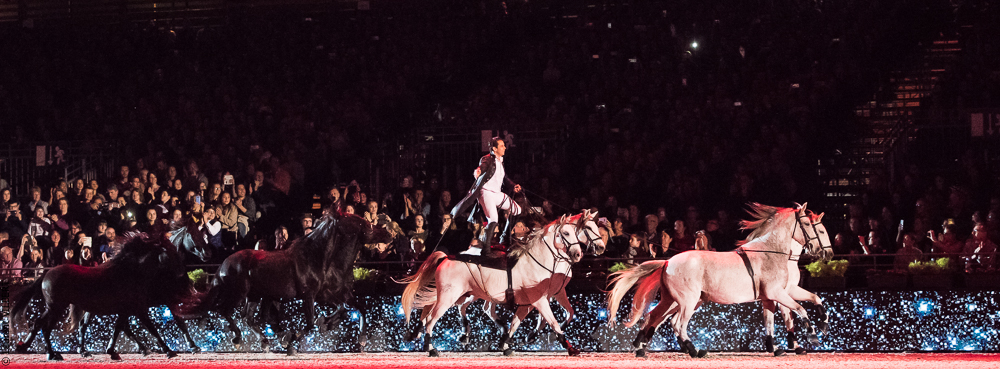 Lorenzo 20171125-0209