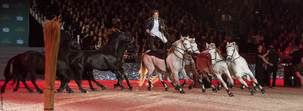 Lorenzo 20171125-0230