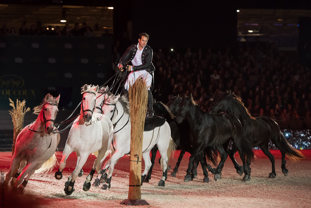 Lorenzo 20171125-0236