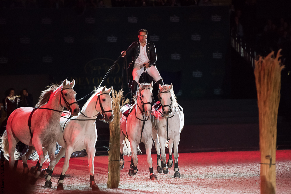 Lorenzo 20171125-0295