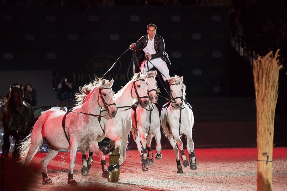 Lorenzo 20171125-0296