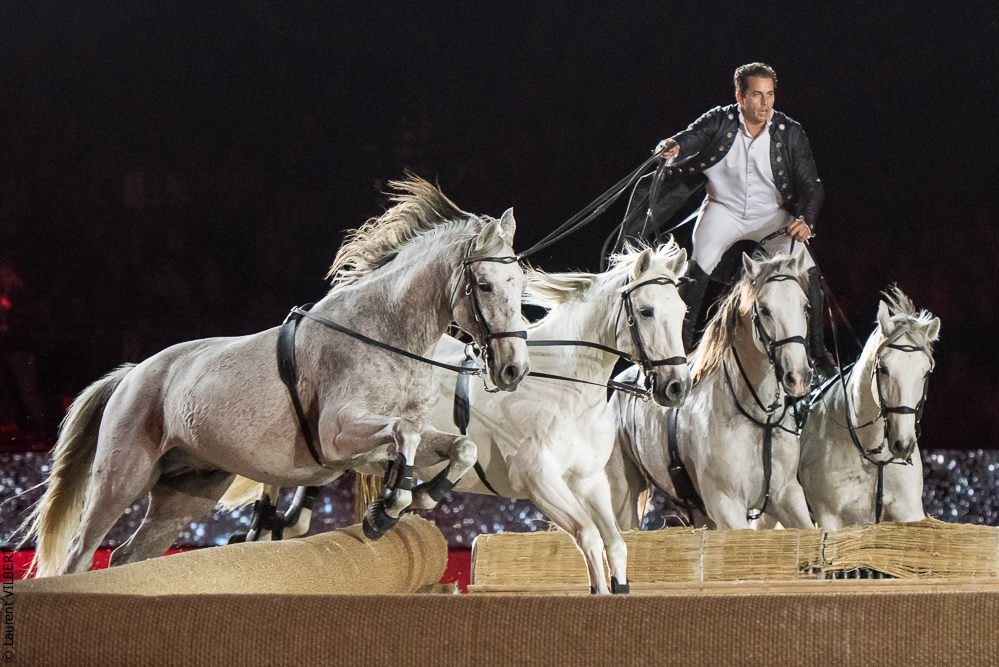 Lorenzo 20171125-0331