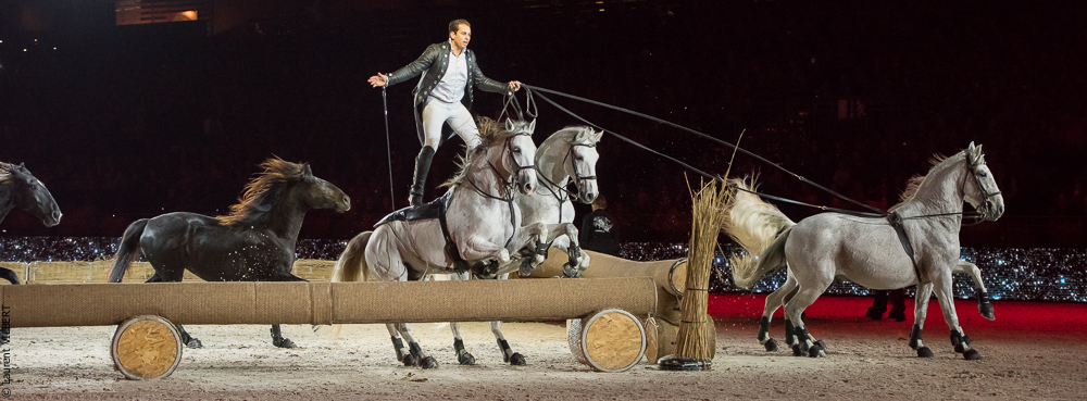 Lorenzo 20171125-0335