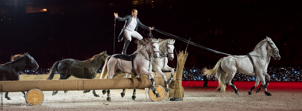 Lorenzo 20171125-0336