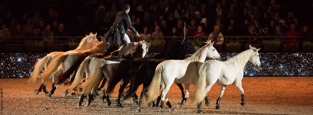 Lorenzo 20171125-0377