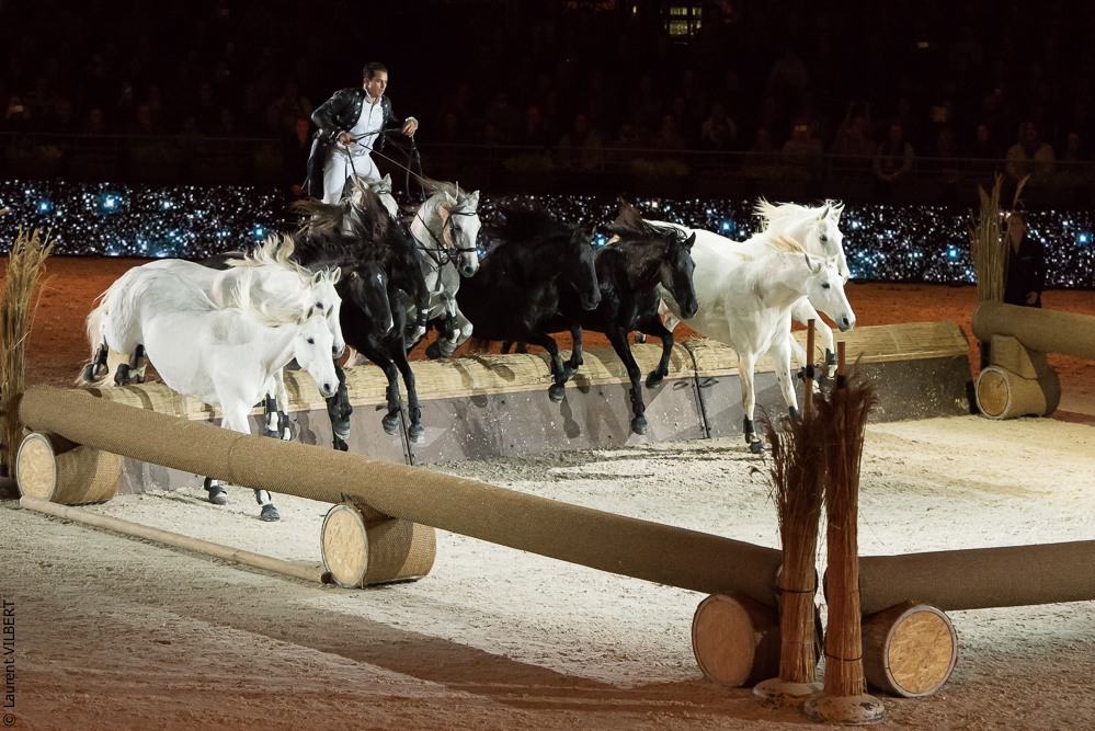 Lorenzo 20171125-0388