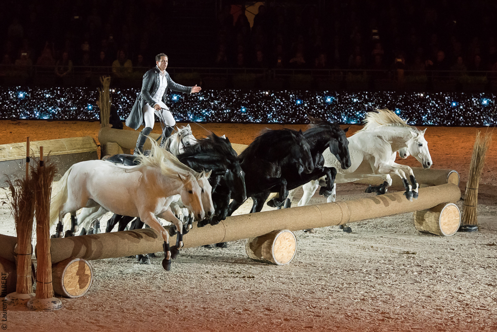 Lorenzo 20171125-0390