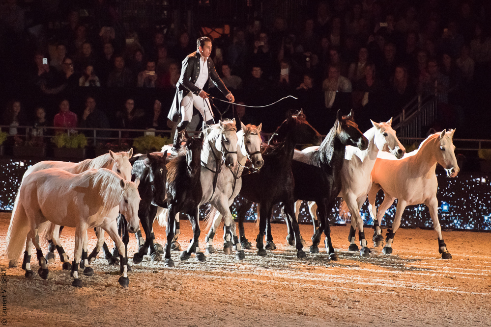 Lorenzo 20171125-0400