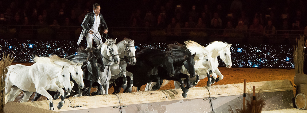 Lorenzo 20171125-0402