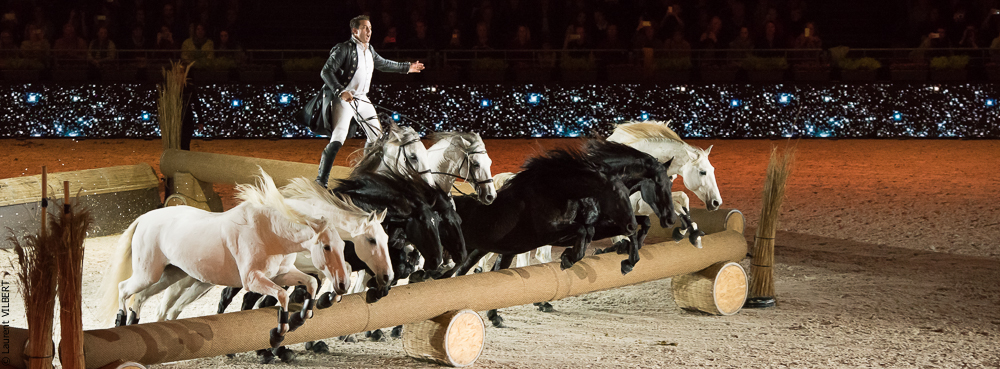 Lorenzo 20171125-0406