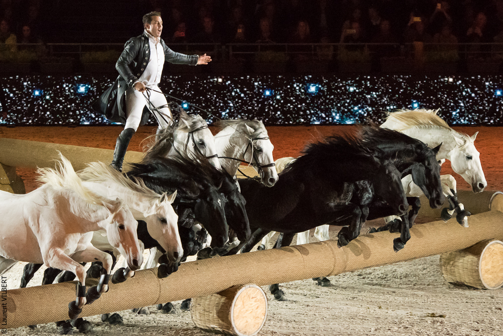 Lorenzo 20171125-0406