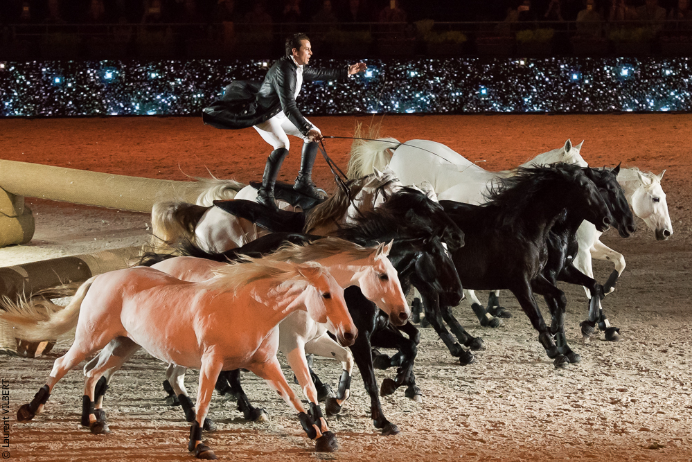 Lorenzo 20171125-0409