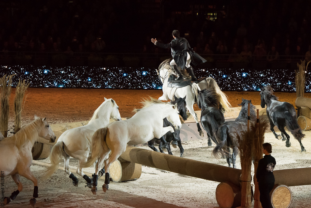 Lorenzo 20171125-0420