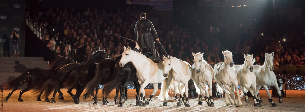 Lorenzo 20171125-0633