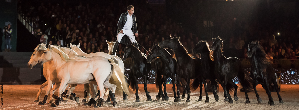 Lorenzo 20171125-0635