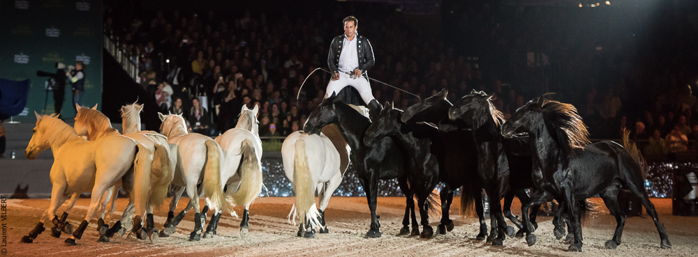 Lorenzo 20171125-0636