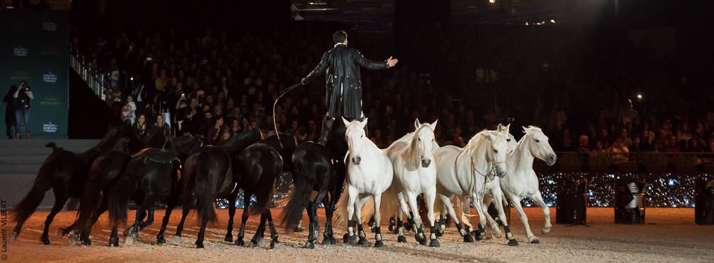 Lorenzo 20171125-0643